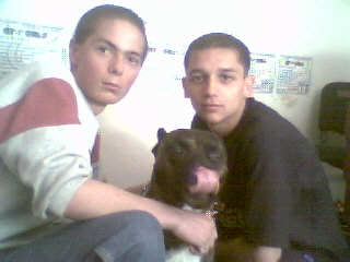 AmStaff , GiunO & un^INGER